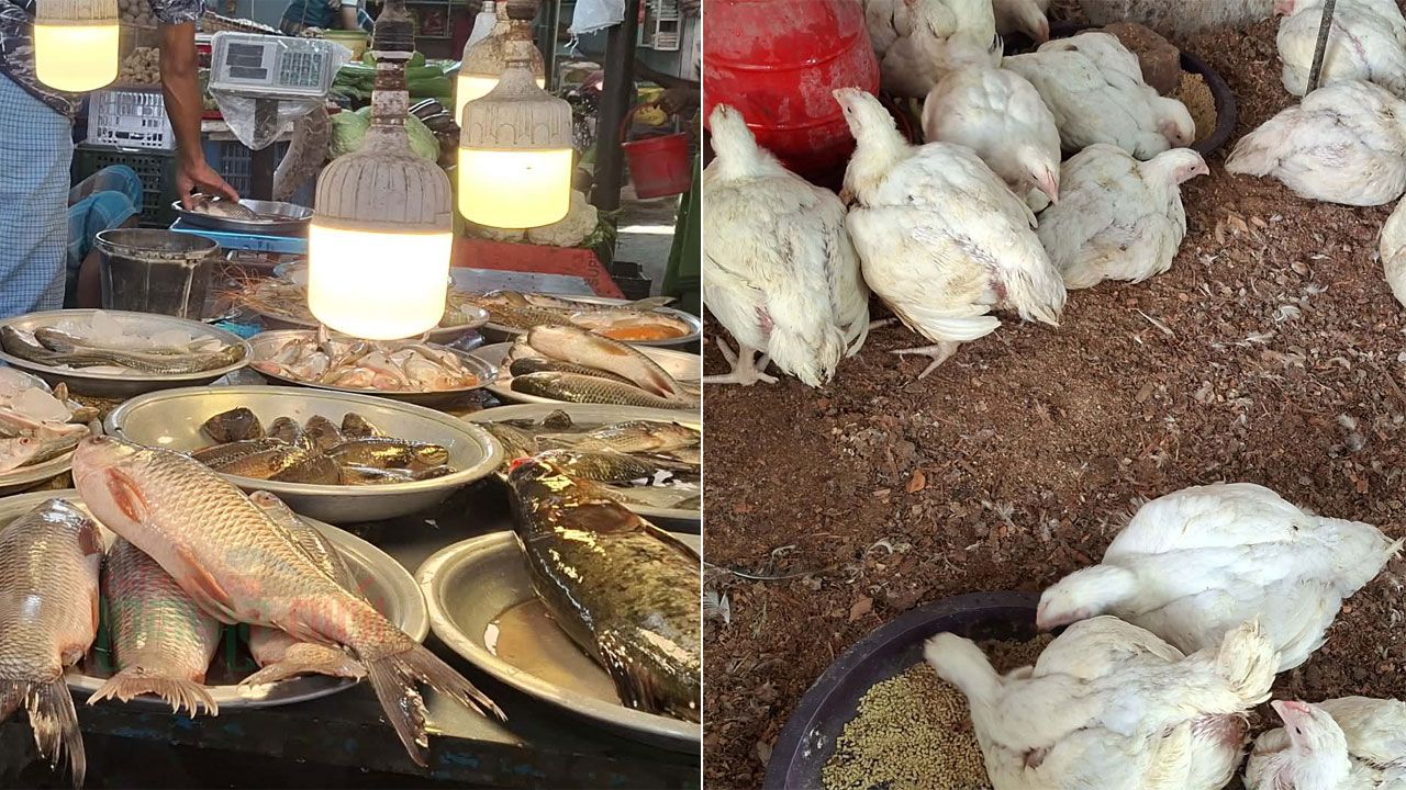 ব্রয়লারের চেয়ে মাছের দাম বেশি, গরুর মাংস ৮০০ টাকা কেজি