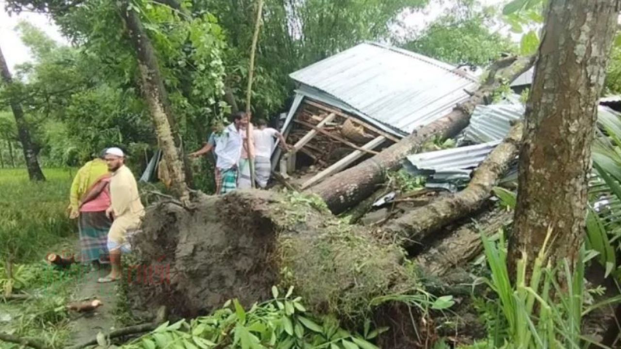 জামালপুরে কালবৈশাখী ঝড়ে গাছ পড়ে মা ও দুই মেয়ের মৃত্যু