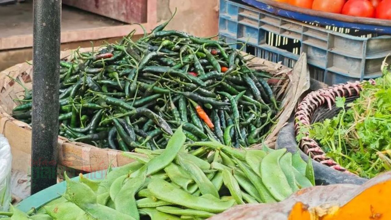 ৩২০ টাকা কেজি কাঁচামরিচের ঝালে নাকাল রাজধানীবাসী