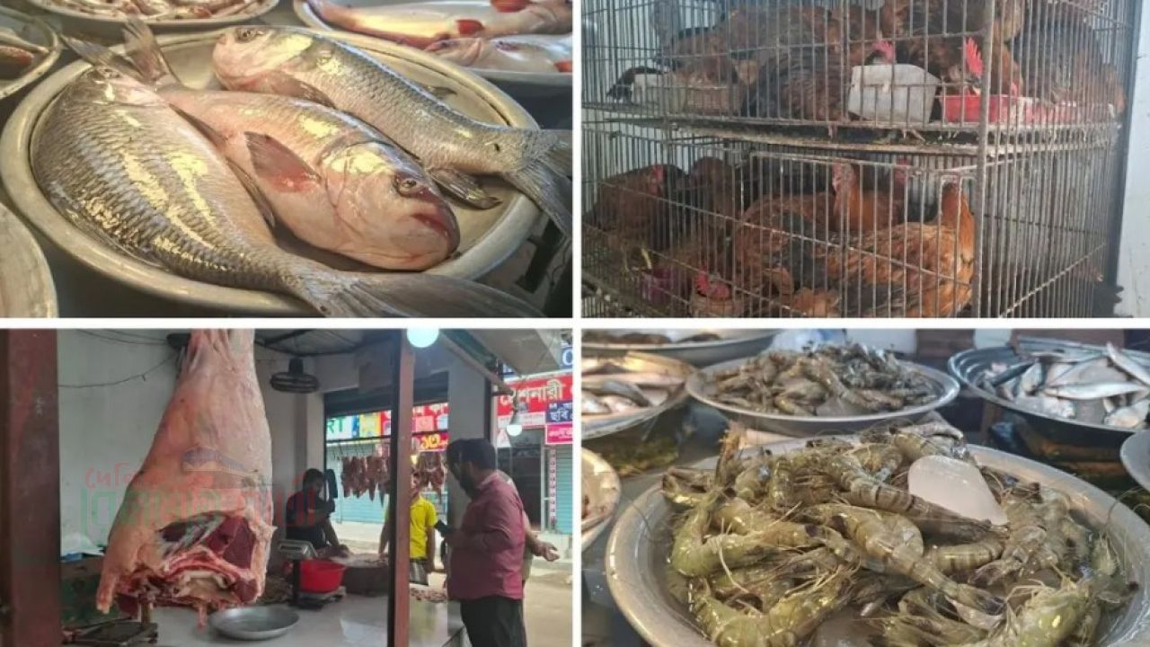ডজনে ১০ টাকা কমেছে ডিমে, আগের দামেই মাছ-মাংস