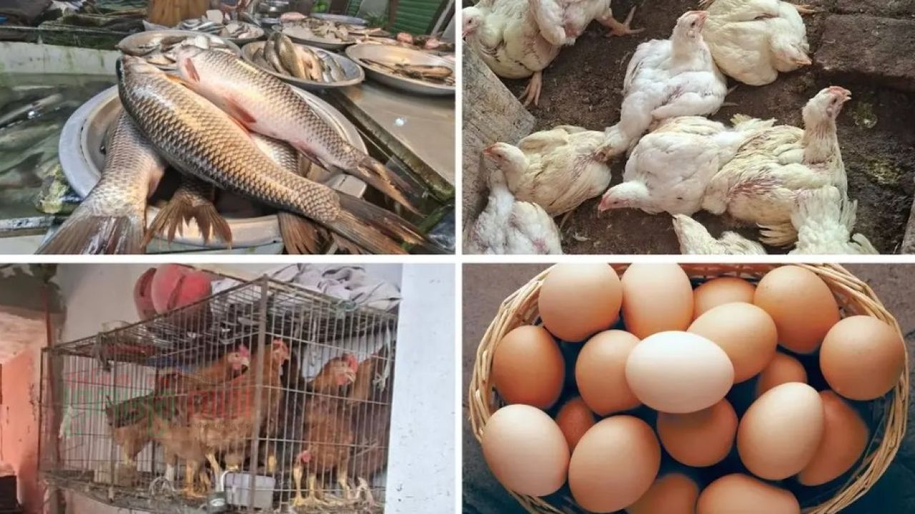 মাছ, মুরগি ও ডিমের দামে হিমশিম খাচ্ছেন ক্রেতারা