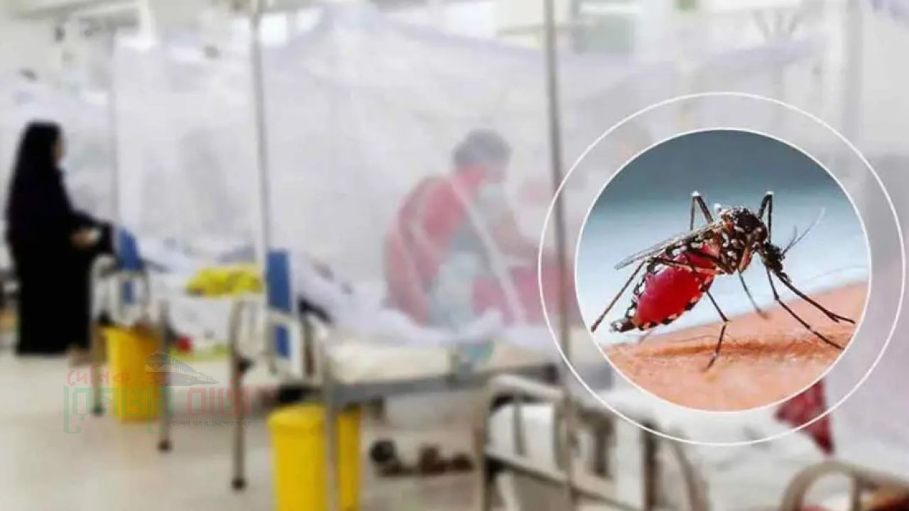 ডেঙ্গুতে একদিনে ৯ জনের মৃত্যু