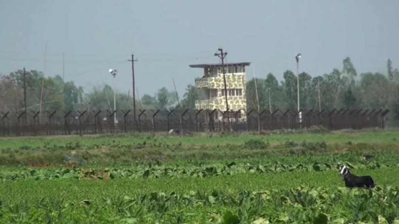 পাটগ্রাম সীমান্তে বিএসএফের পুশইন চেষ্টা ব্যর্থ, রাতের আঁধারে ফেরত নিল