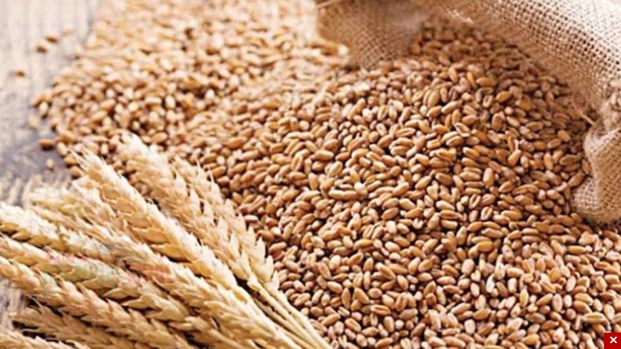 যুক্তরাষ্ট্র থেকে এলো ১ লাখ ৭৫ হাজার টন গম